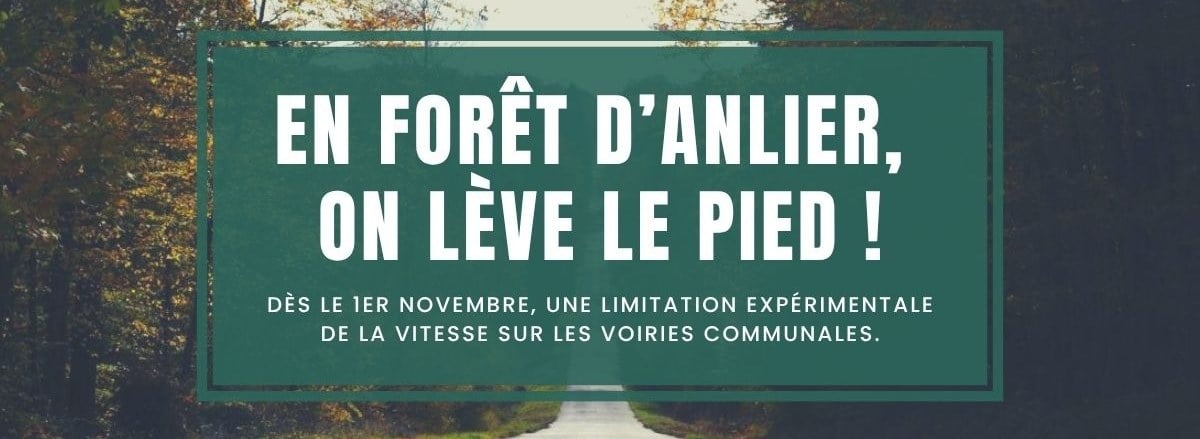 Forêt d’Anlier : une limitation expérimentale à 50 km/h sur les voiries communales dès le 1er novembre