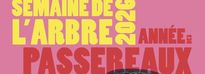 Semaine de l'arbre 2026 - Focus sur les arbres et les passereaux